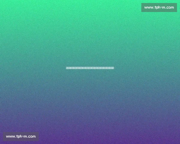 在万众瞩目之下开启时代新篇章的关键时刻与非凡征程共同见证历史转折